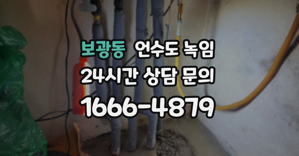 보광동 언수도 녹임