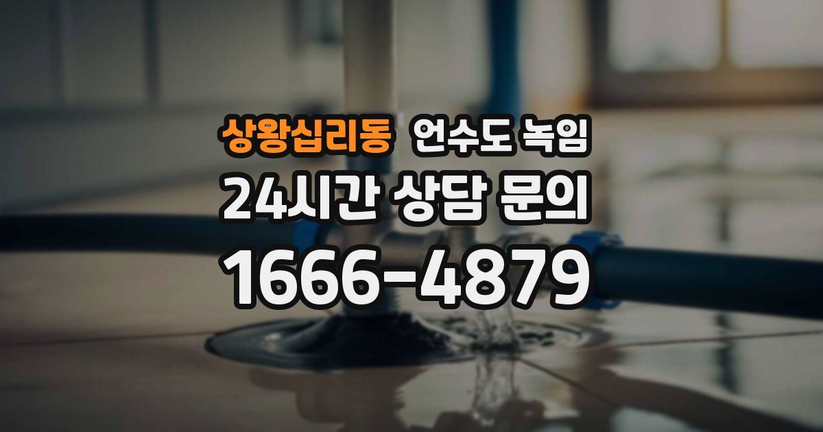 상왕십리동 언수도 녹임