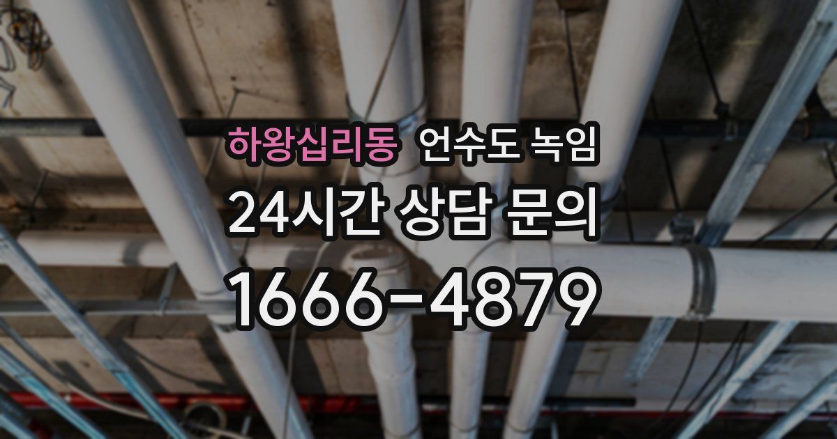 하왕십리동 언수도 녹임