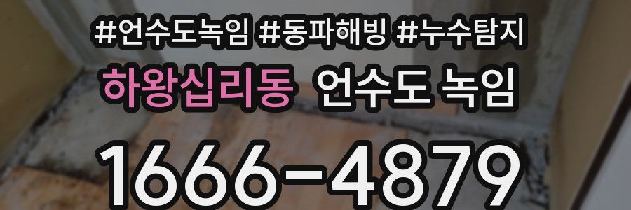 하왕십리동 언수도 녹임