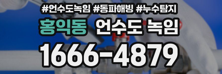 홍익동 언수도 녹임