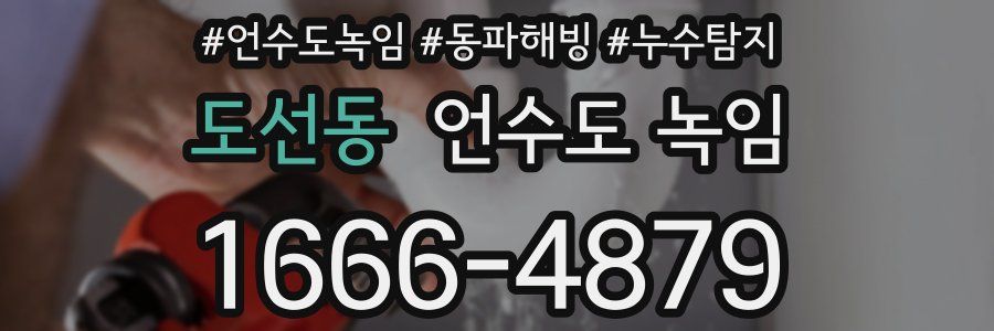 도선동 언수도 녹임