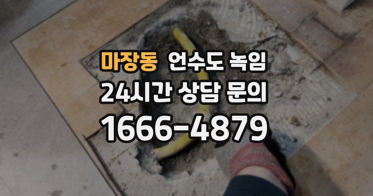 마장동 언수도 녹임