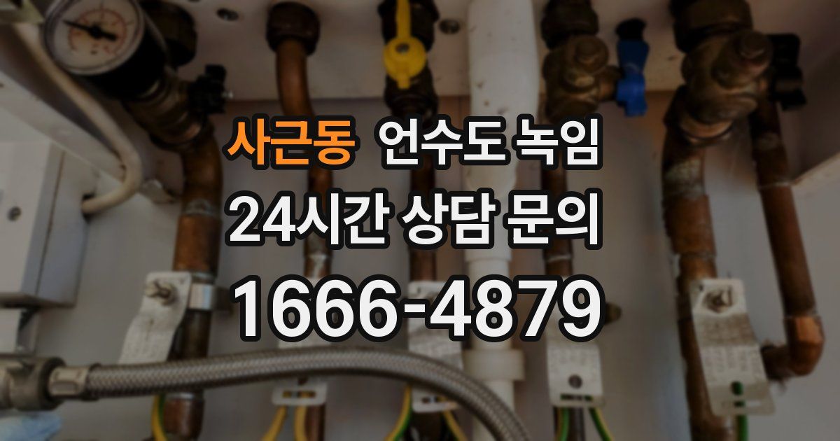 사근동 언수도 녹임