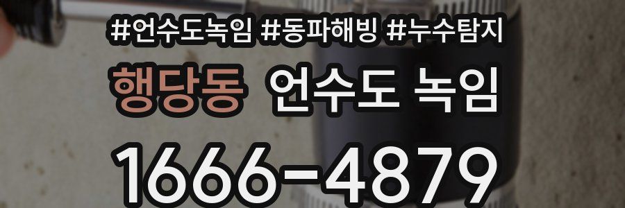 행당동 언수도 녹임