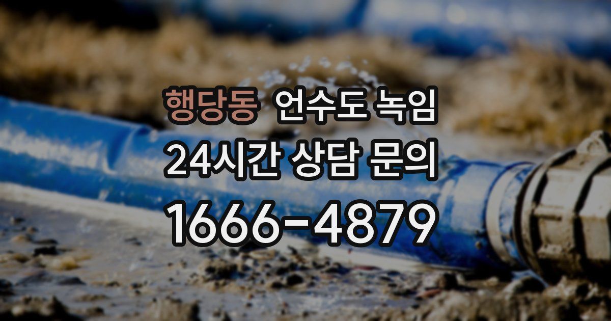 행당동 언수도 녹임