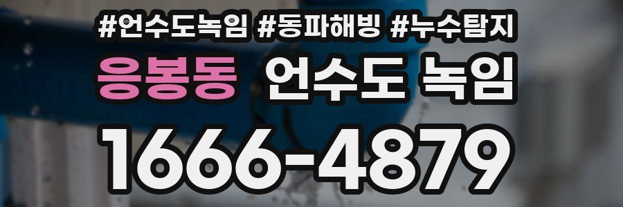 응봉동 언수도 녹임