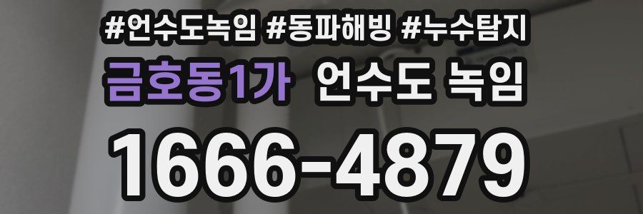 금호동1가 언수도 녹임