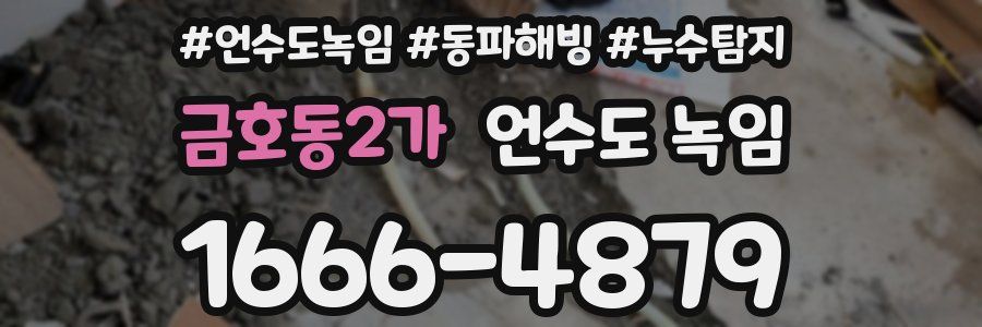 금호동2가 언수도 녹임