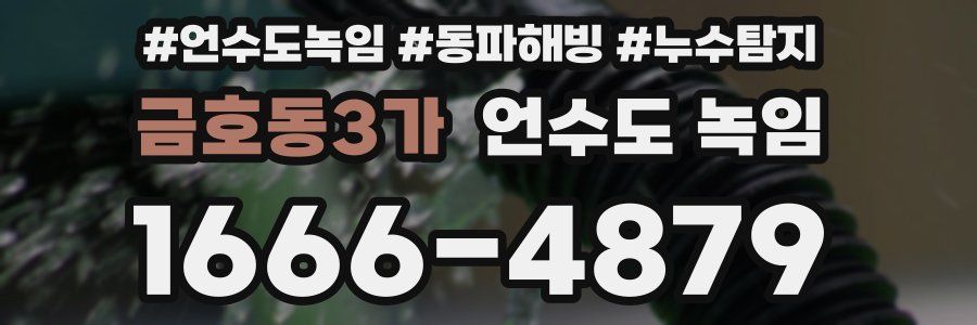 금호동3가 언수도 녹임