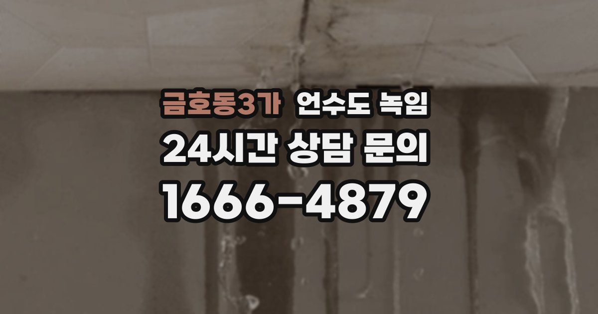 금호동3가 언수도 녹임