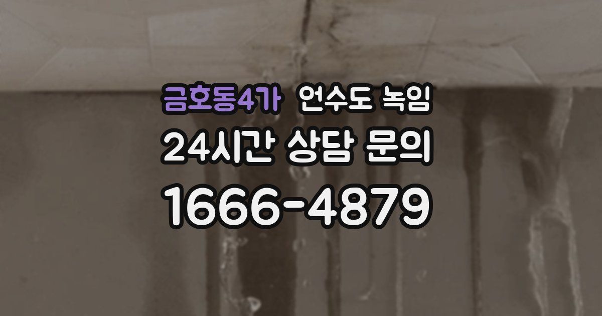 금호동4가 언수도 녹임