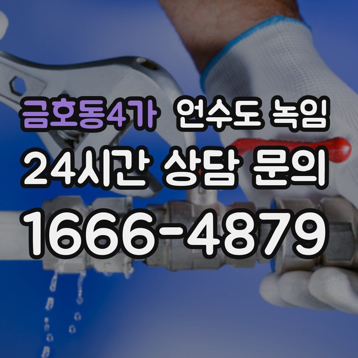 금호동4가 언수도 녹임