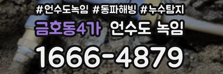 금호동4가 언수도 녹임