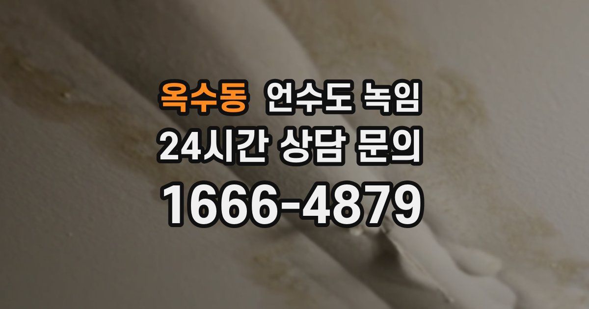 옥수동 언수도 녹임