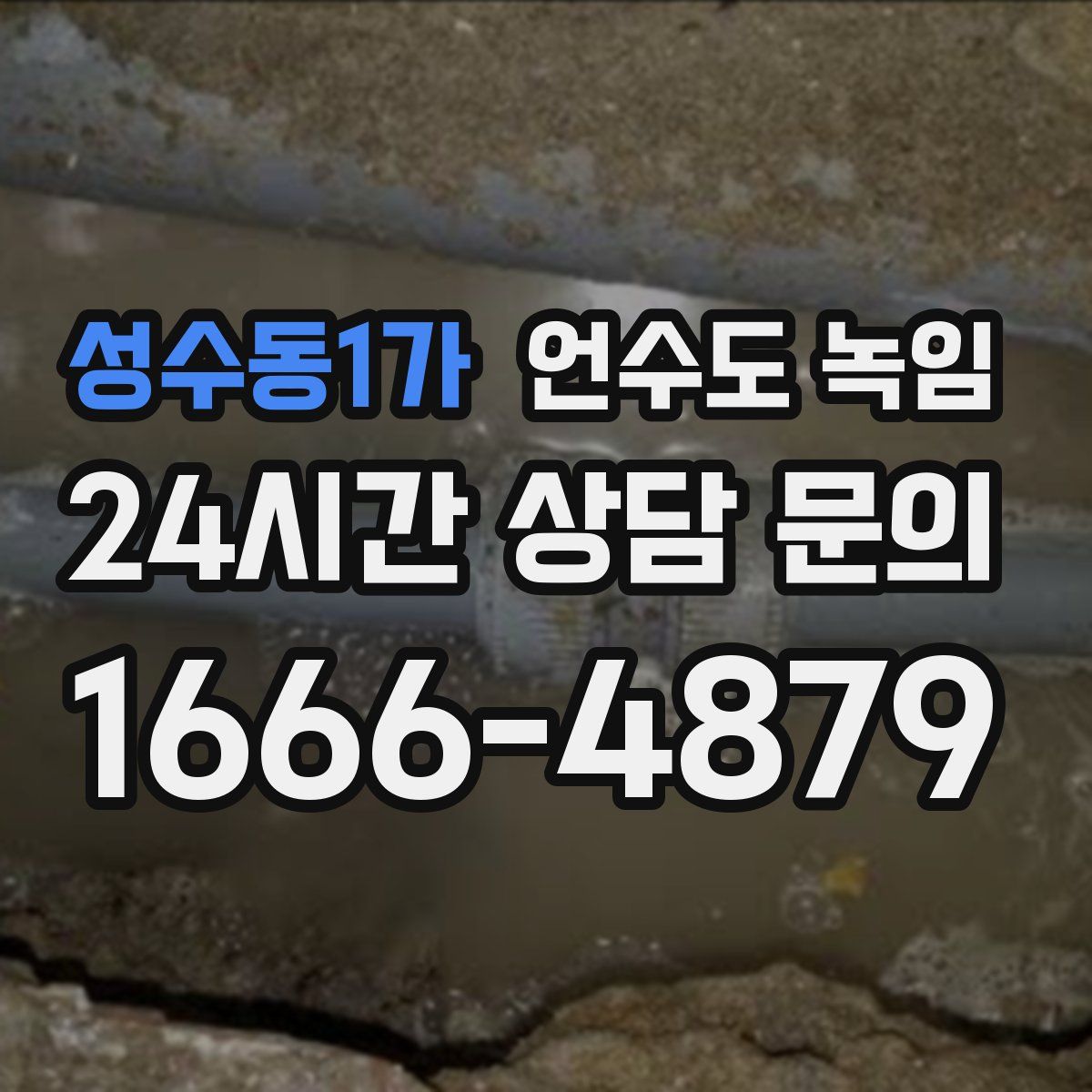 성수동1가 언수도 녹임