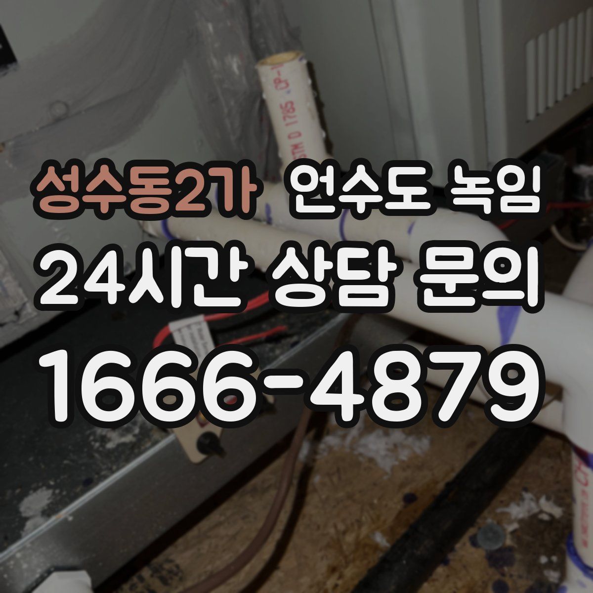 성수동2가 언수도 녹임
