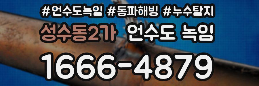 성수동2가 언수도 녹임