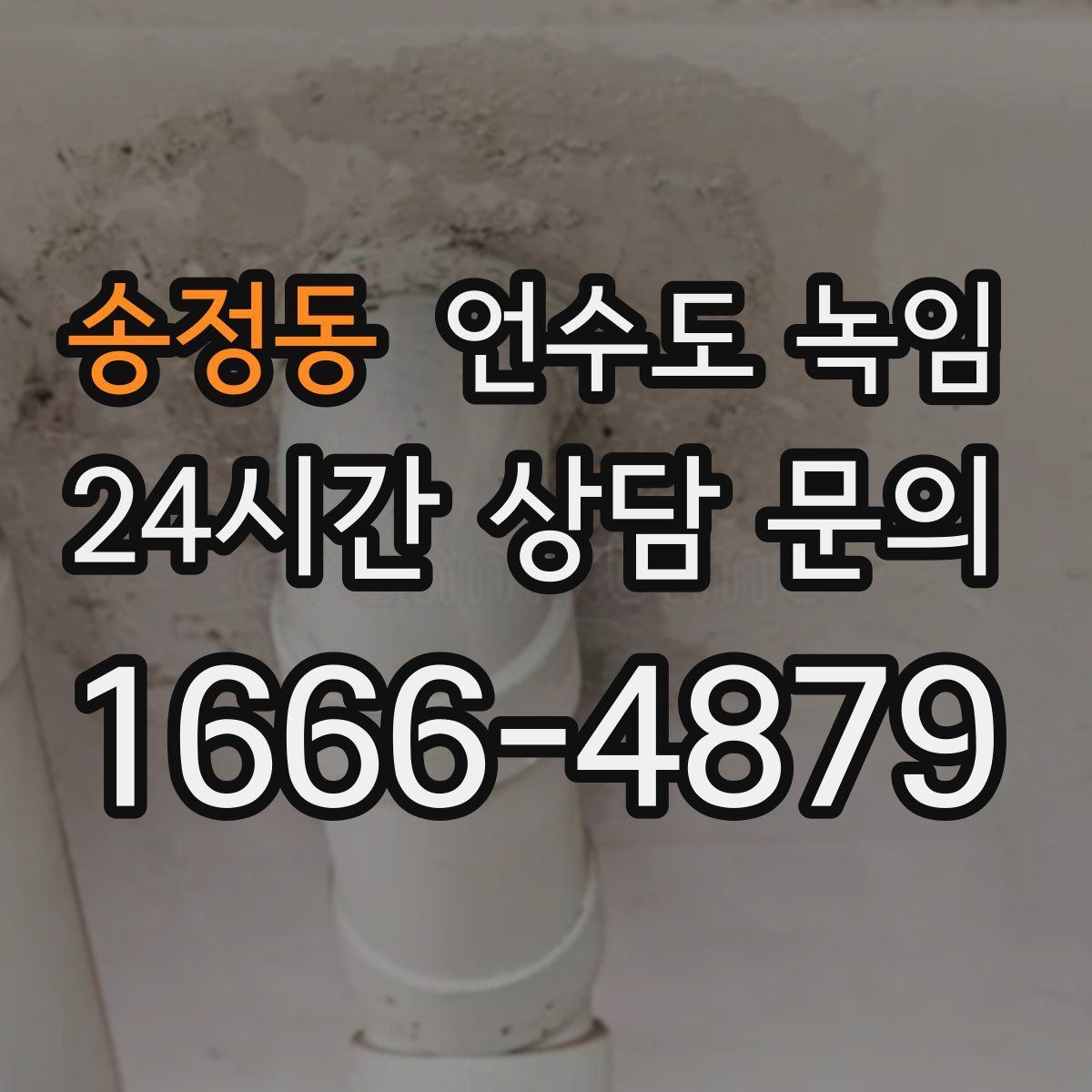 송정동 언수도 녹임