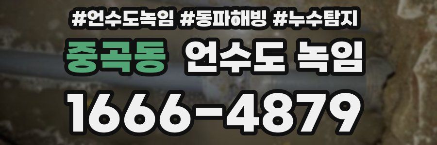 중곡동 언수도 녹임