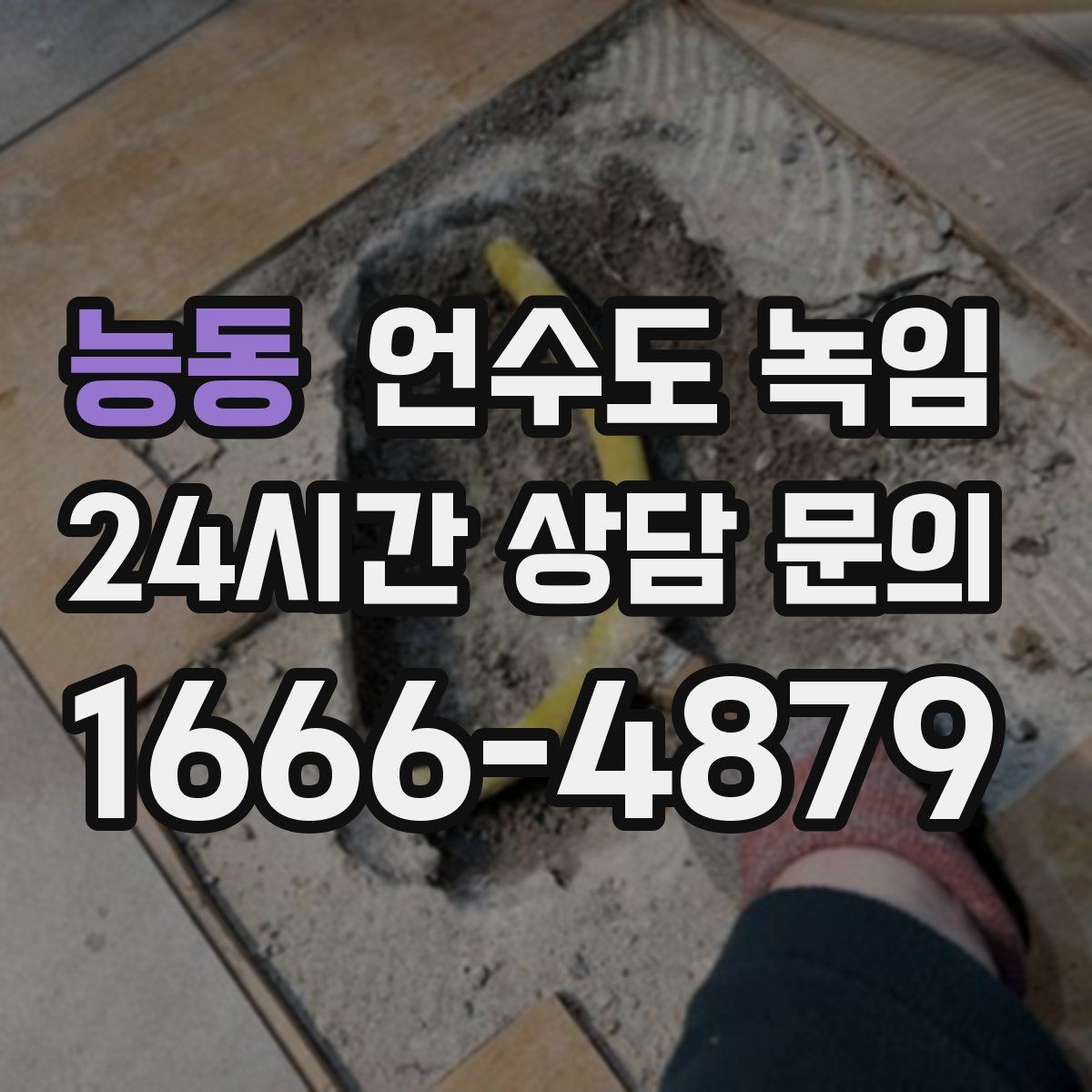 능동 언수도 녹임