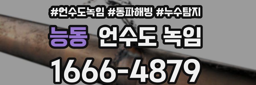 능동 언수도 녹임