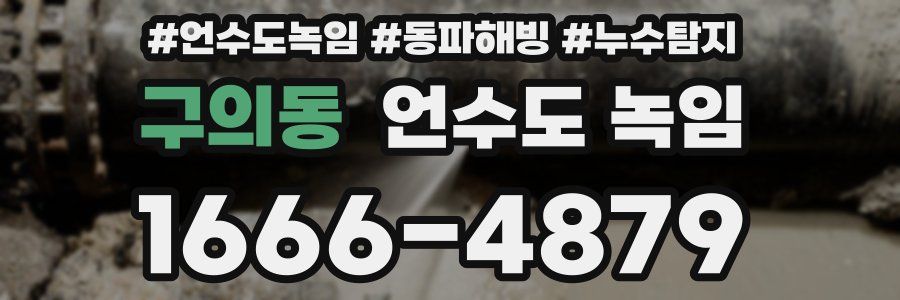 구의동 언수도 녹임