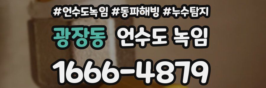 광장동 언수도 녹임