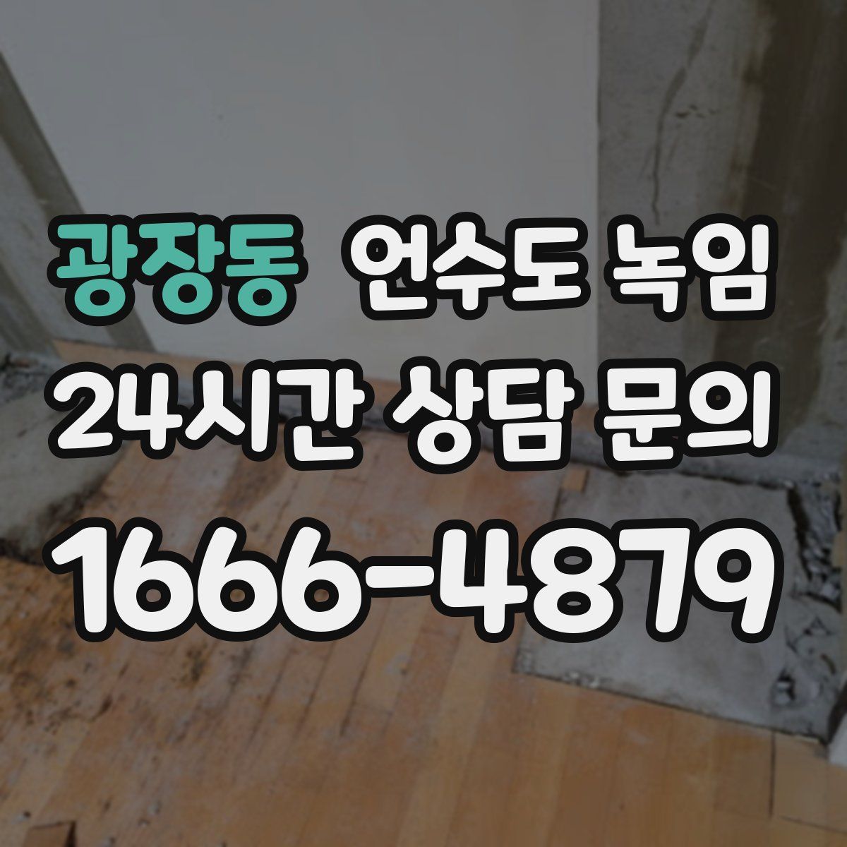 광장동 언수도 녹임