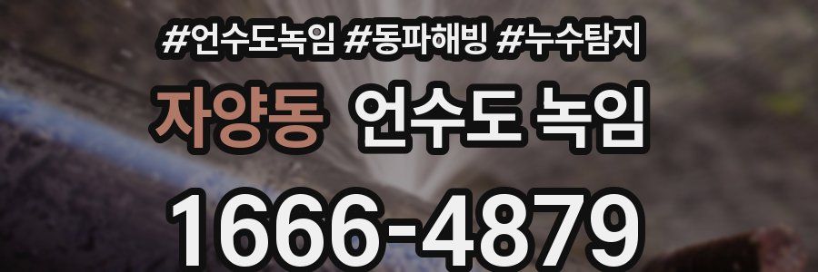 자양동 언수도 녹임