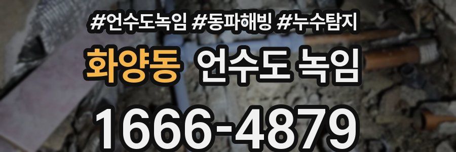 화양동 언수도 녹임