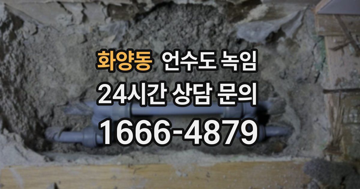 화양동 언수도 녹임