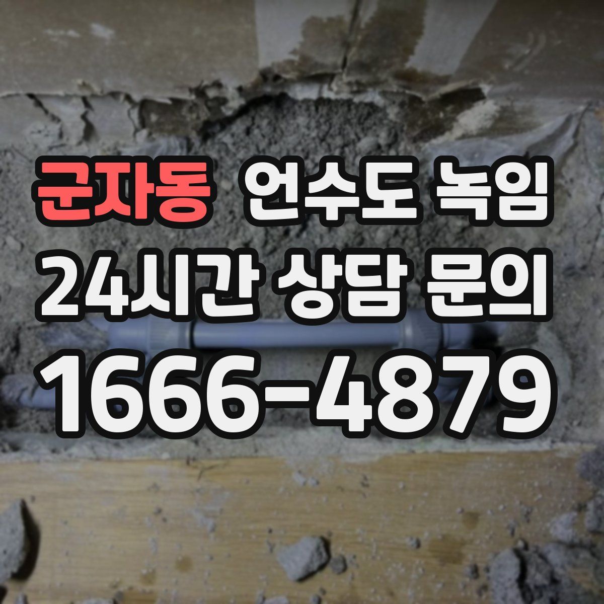 군자동 언수도 녹임