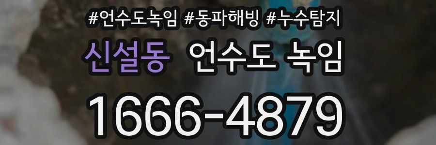 신설동 언수도 녹임