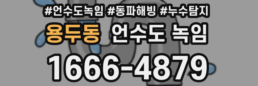 용두동 언수도 녹임