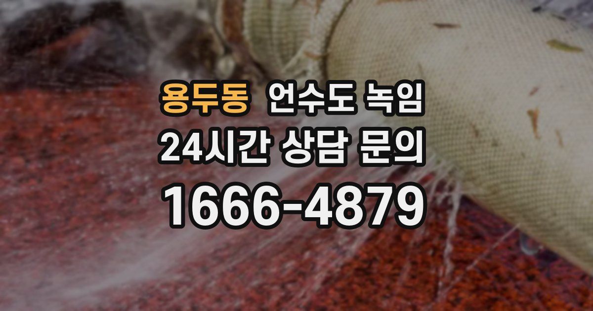 용두동 언수도 녹임