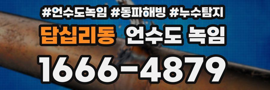 답십리동 언수도 녹임