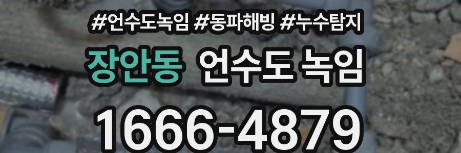 장안동 언수도 녹임