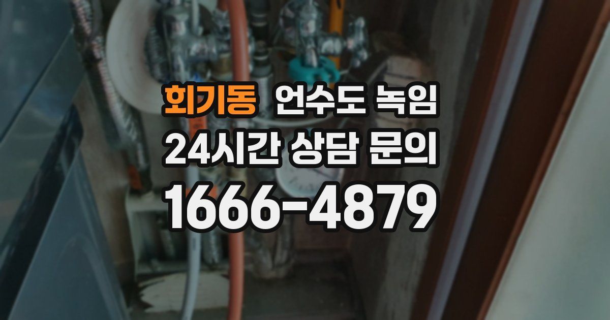 회기동 언수도 녹임