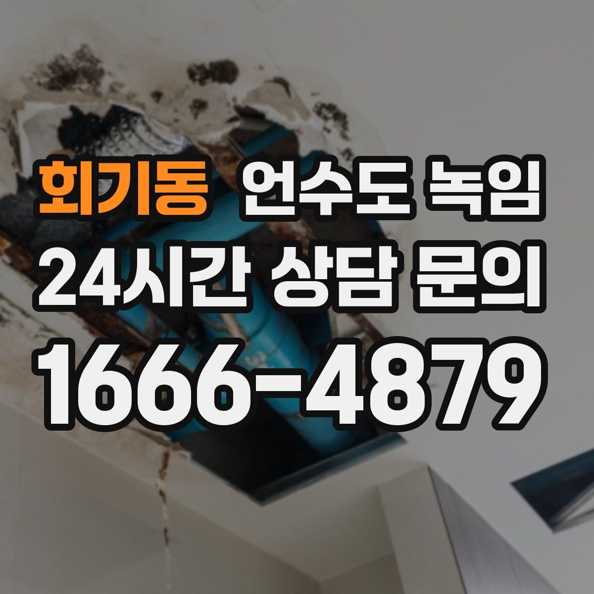 회기동 언수도 녹임