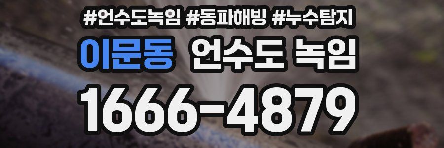 이문동 언수도 녹임