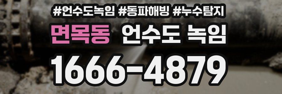 면목동 언수도 녹임