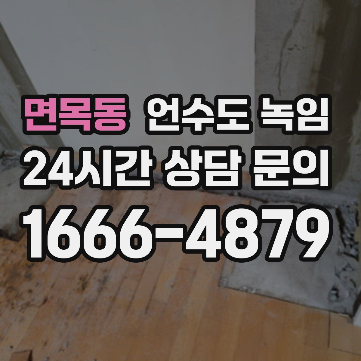 면목동 언수도 녹임