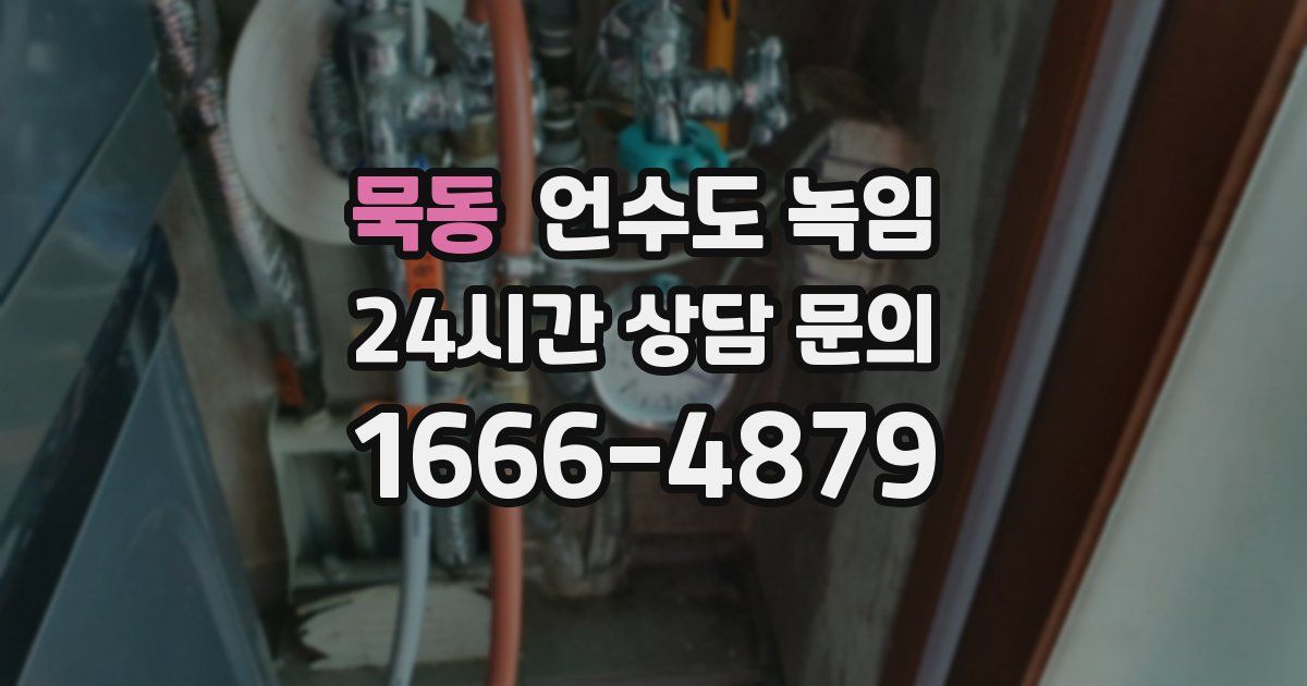 묵동 언수도 녹임