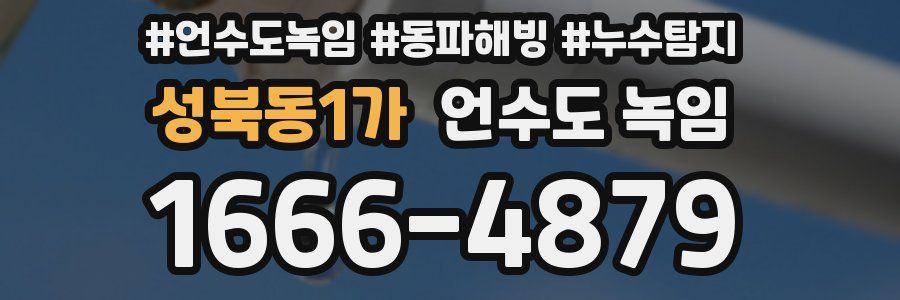 성북동1가 언수도 녹임