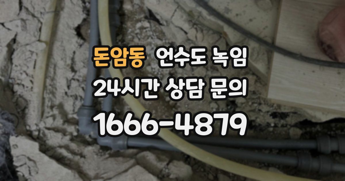 돈암동 언수도 녹임