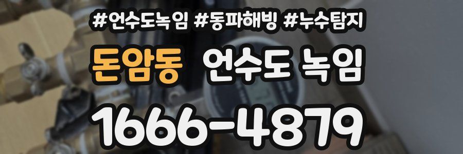 돈암동 언수도 녹임