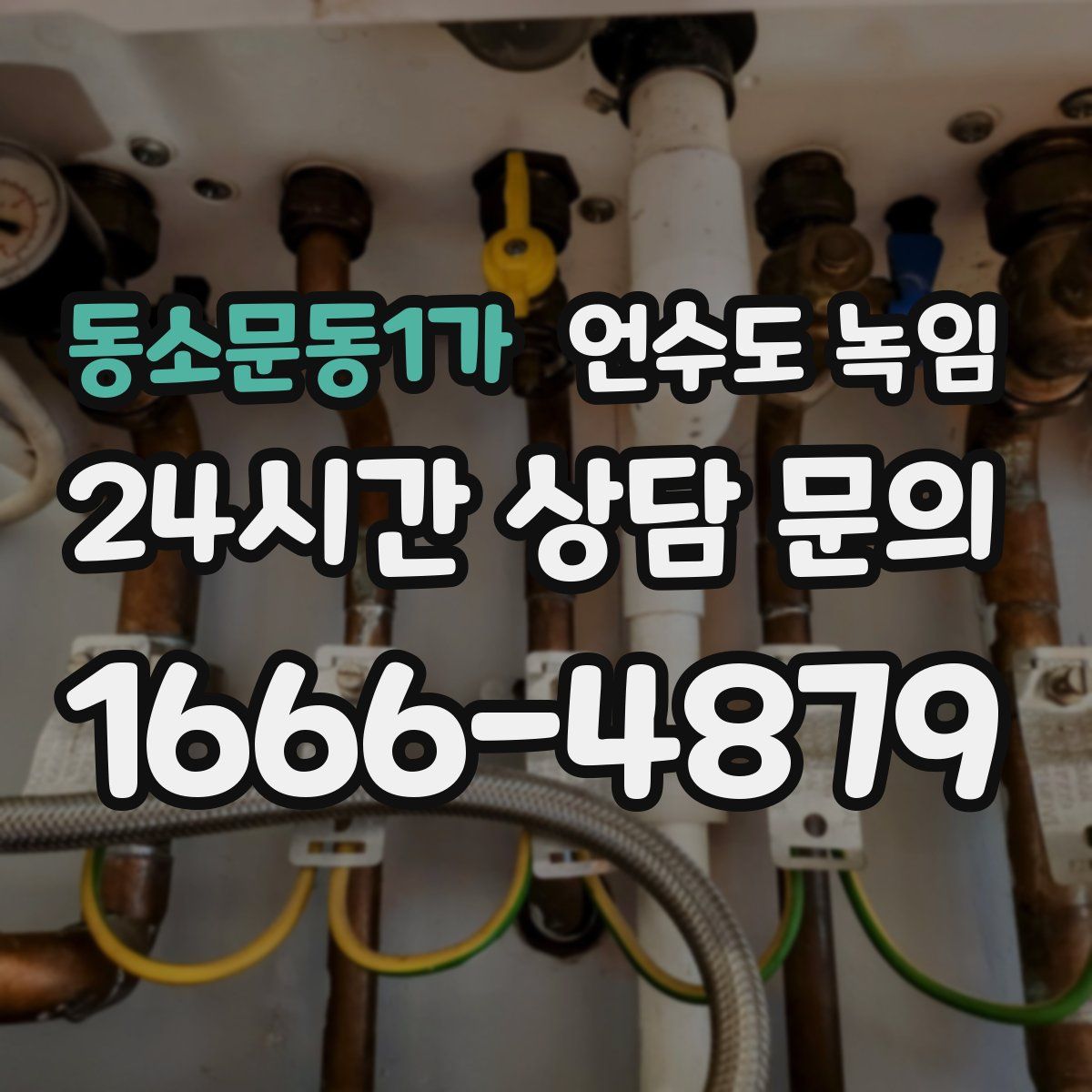 동소문동1가 언수도 녹임