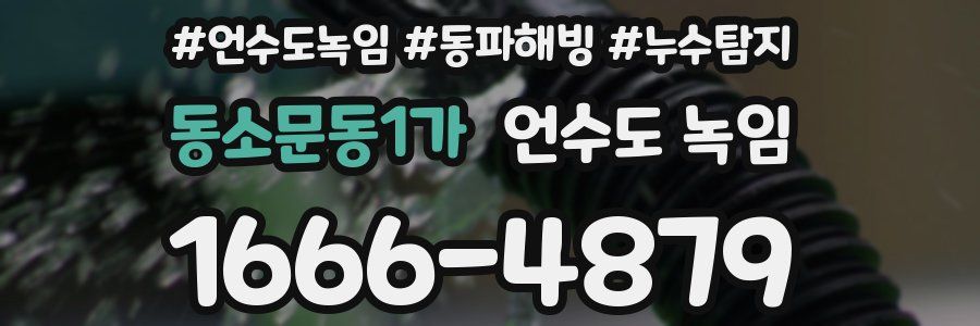 동소문동1가 언수도 녹임