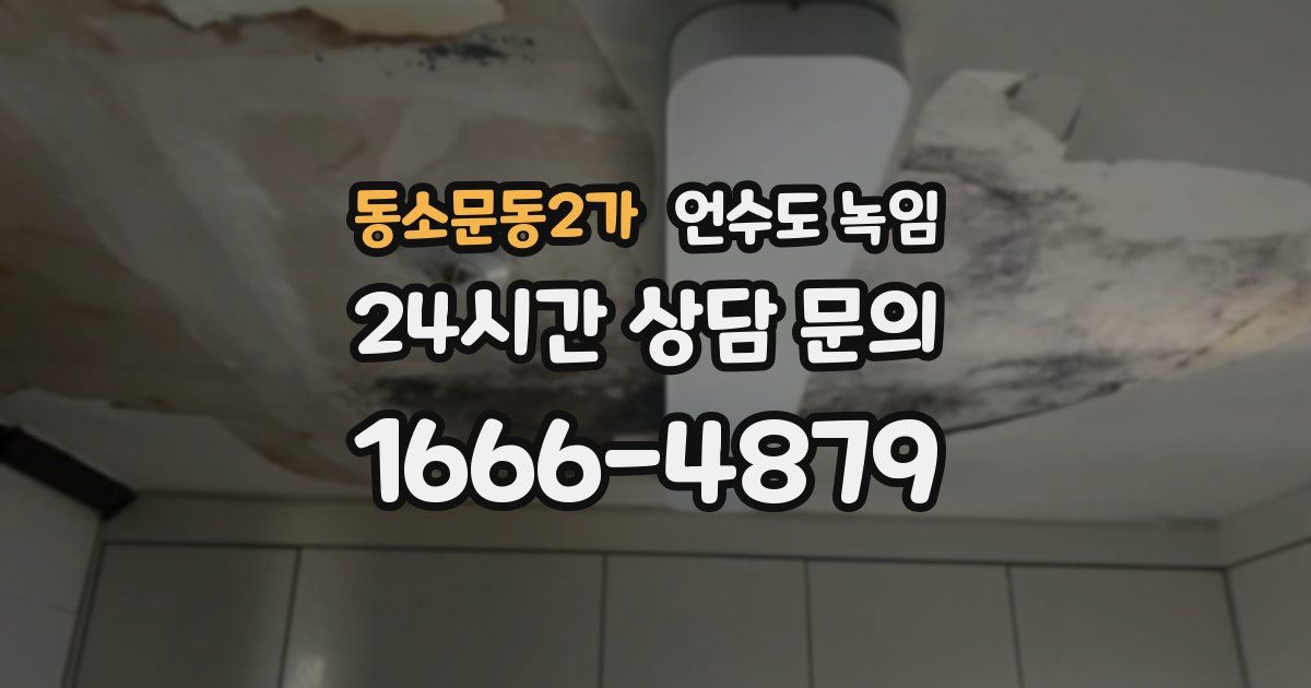 동소문동2가 언수도 녹임